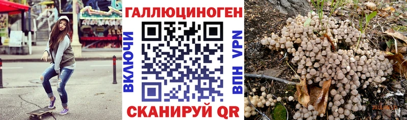 KRAKEN онион  Чехов  Галлюциногенные грибы Magic Shrooms  где можно купить наркотик 