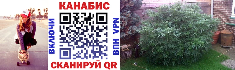 купить  цена  Чехов  Марихуана AK-47 